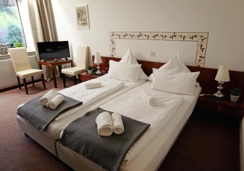 Ένα ή περισσότερα κρεβάτια σε δωμάτιο στο Hotel Zur Burg Sternberg