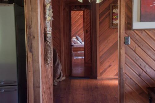 Imagen de la galería de Cabañas Anulen, en Los Riscos