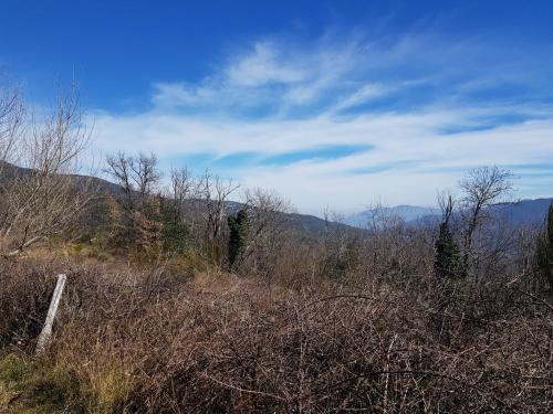 Mas Nogarede – Photos 4