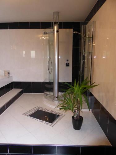 a bathroom with a shower and a potted plant at "Fahner Mühle" in Gierstädt