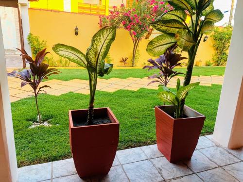 two potted plants are sitting on a porch at Pousada Paradise in Alcobaça