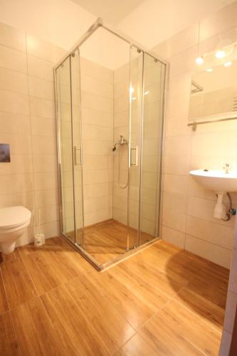 een badkamer met een douche, een toilet en een wastafel bij Żwirki in Częstochowa