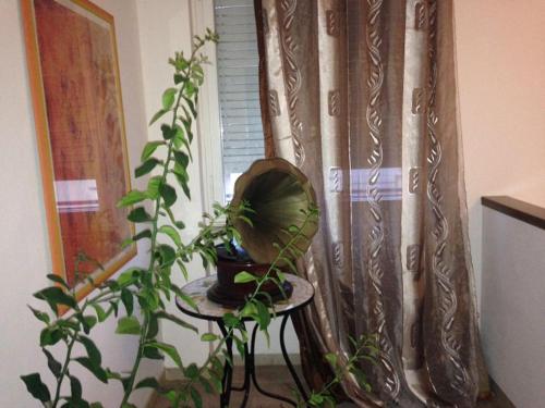 een raam met een tafel met een plant en een gordijn bij Appartamento Antonio in Malo