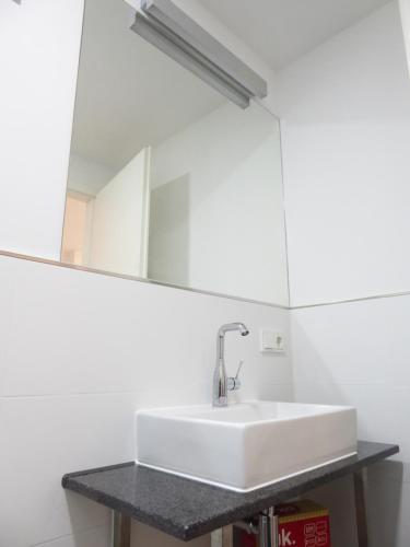 a bathroom with a white sink and a mirror at "Fahner Mühle" in Gierstädt