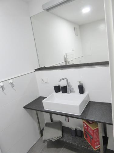 a bathroom with a white sink and a mirror at "Fahner Mühle" in Gierstädt