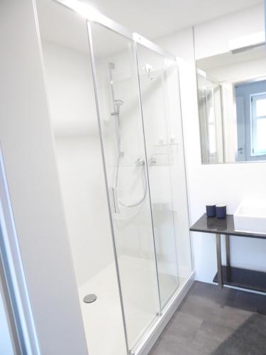 a glass shower in a bathroom with a sink at "Fahner Mühle" in Gierstädt
