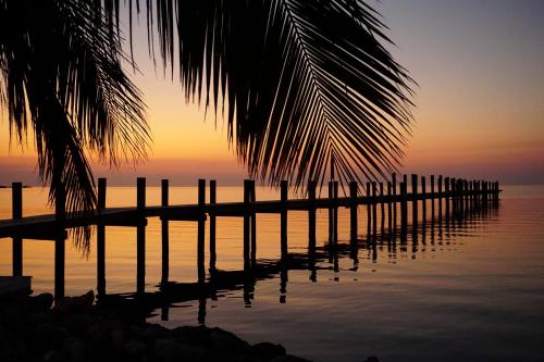 Million Dollar View – Photos 3