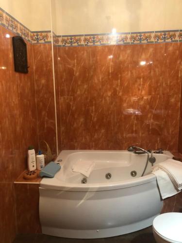 a bathroom with a bath tub and a toilet at Apartamento en Pleno Centro De Marchena 3 dormitorios 3 baños privados in Marchena