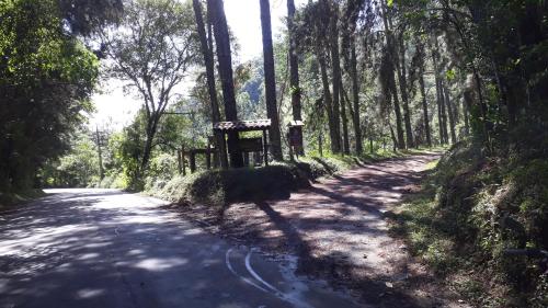 a road with trees on the side of it at Pousada Chales Joao de Barro in Visconde De Maua
