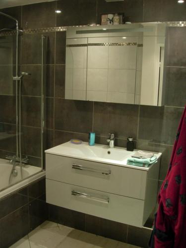 une salle de bain avec un lavabo et une douche dans l'établissement Between historic center and quay, ideal for family, à Rouen