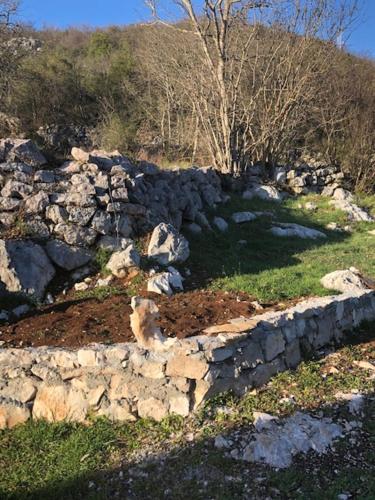 a stone retaining wall in a field of grass at Milovan in Cetinje