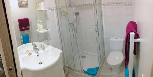 La salle de bains est pourvue d'une douche, d'un lavabo et de toilettes. dans l'établissement 2 Pièces au coeur du quartier branché du port, à Nice