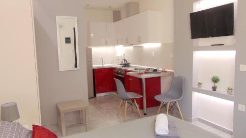 Kuchyň nebo kuchyňský kout v ubytování New Luxury Studio Corfu Town