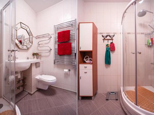 uma casa de banho com um WC com lavatório e um chuveiro em Vilnius avenue apartments em Druskininkai