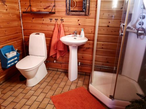 uma casa de banho com um WC, um lavatório e um chuveiro em Skatauddens Lantgård em Älvsbyn