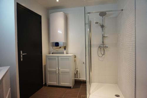 ein Bad mit einer Dusche und einer Glastür in der Unterkunft Cosy Appartement proche Gares #1 in Lille