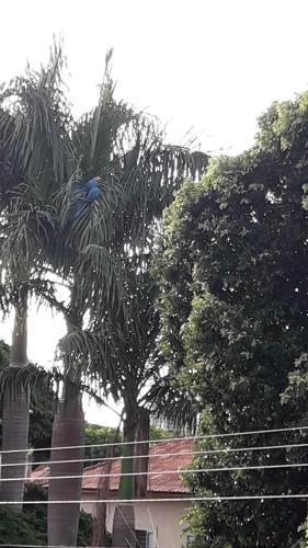 Taman di luar Hostel DS
