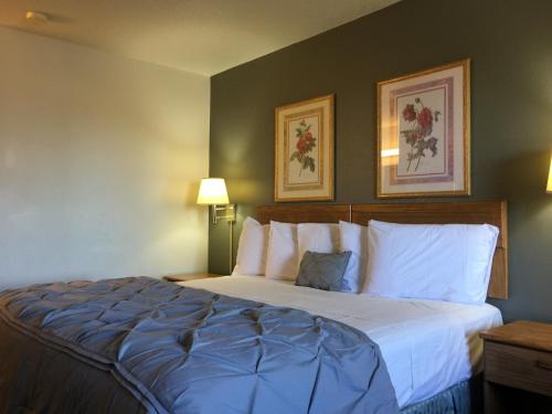 Un pat sau paturi într-o cameră la Amerihost Inn & Suites Fulton