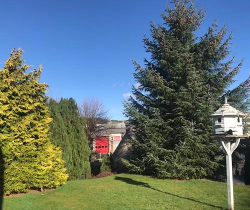 a bird house in a garden with two trees at Garden Park Guest House in Grantown on Spey