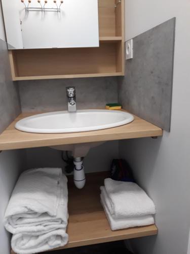 a bathroom with a sink and towels on a shelf at Chalet "Les Gobelins" in Paimpont