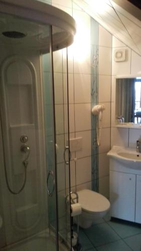 a bathroom with a shower and a toilet and a sink at Apartments U Kašny in Kadaň