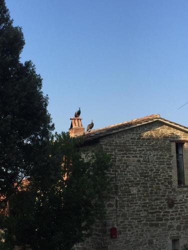 due uccelli seduti sul tetto di un edificio di Fattoria Didattica Gli Allori a Perugia