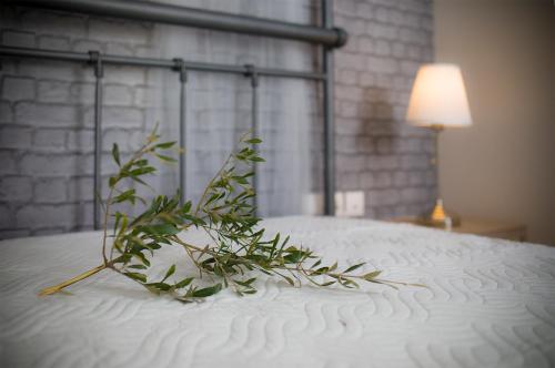 a plant sitting on top of a bed at Ble on Blue in Athanion