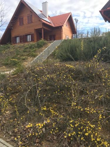 Jardin de l'établissement Böjti Pince