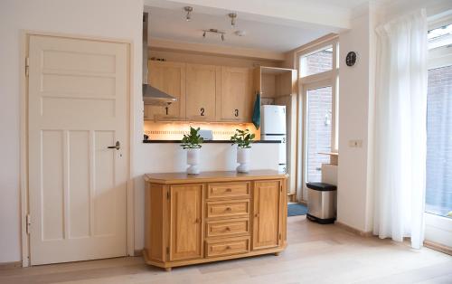uma cozinha com um armário de madeira com duas plantas em Shortstay Bilderdijk em Enschede