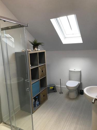 a bathroom with a shower and a toilet and a skylight at Salt Pot Cottage in Skipton