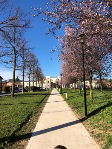 a sidewalk in a park with flowering trees at Casa 774 in Passirano