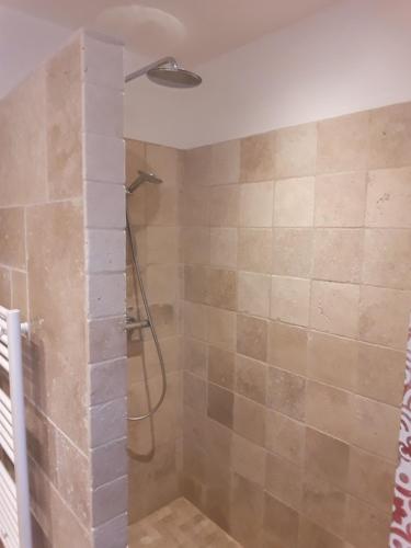 La salle de bains est pourvue d'une douche et d'un mur en pierre. dans l'établissement Les Talvasières, au Mans