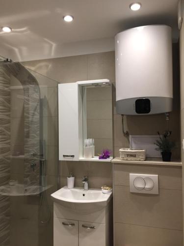 Koupelna v ubytování Apartment Mila