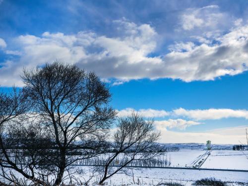 a snowy field with two trees and a blue sky at Klettar Tower Iceland in Fludir