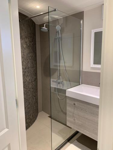 een badkamer met een glazen douche en een wastafel bij Kangaroom in Amsterdam