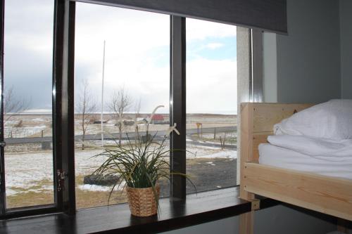 Gallery image of South Iceland Guesthouse in Steinar