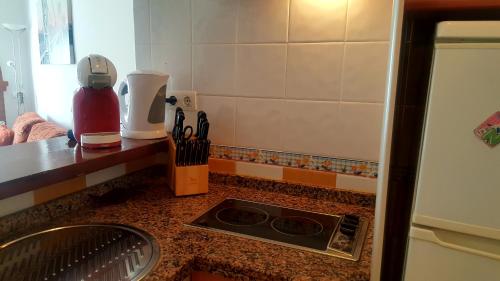 a kitchen with a counter with a sink and a stove at Canoa in Torrox Costa