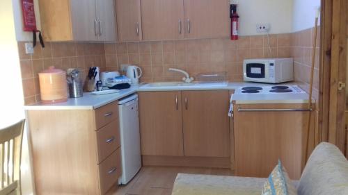 a small kitchen with a sink and a microwave at Thorpegate Cottage in Thorpe Market