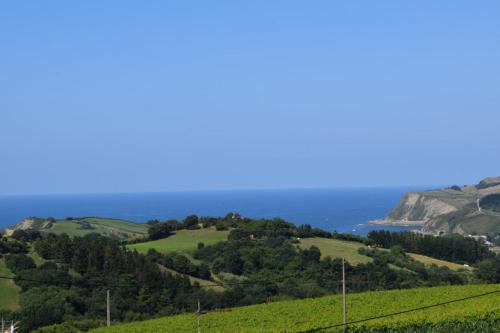 a green hillside with the ocean in the background at Endaneta Berri in Zumaia
