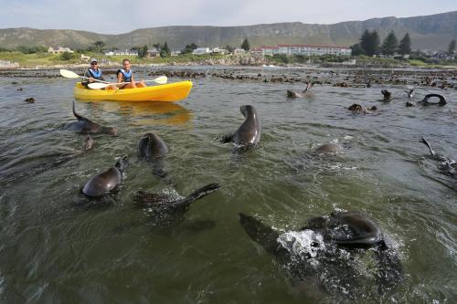 two people on a boat in the water with seals at Braeview Guest House in Hermanus