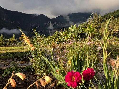 a field of flowers with mountains in the background at Mamaq Tambo Lodge in Cocachimba