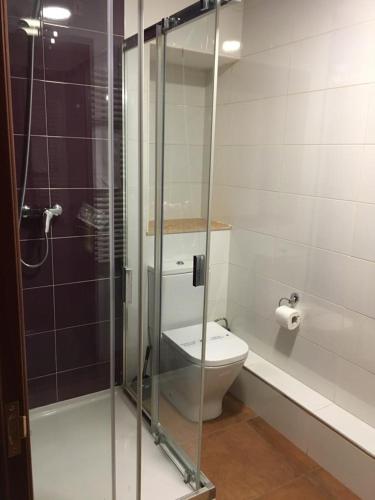 a bathroom with a toilet and a glass shower at Habitaciones El Arco in Zamora