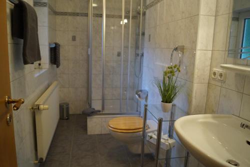 ein Bad mit einer Dusche, einem WC und einem Waschbecken in der Unterkunft Ferienwohnung Shamrock in Hahnenklee-Bockswiese