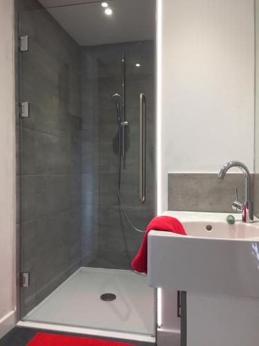a bathroom with a shower with a red towel and a sink at The Studio @ Aubrey Cottage in Chichester