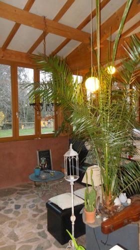 a living room with plants and a ceiling with windows at Domaine de Sault in Dore-lʼÉglise