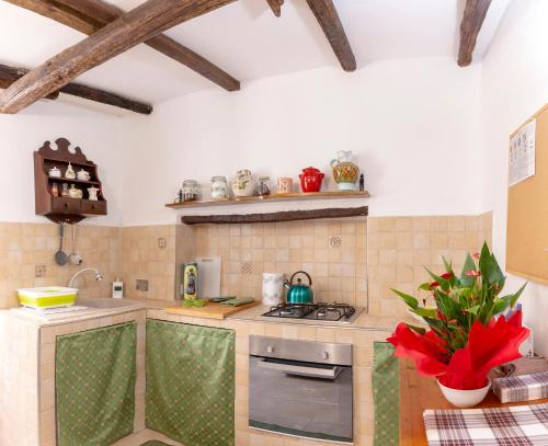 eine Küche mit einer Spüle und einem Herd Top-Backofen in der Unterkunft Domus Napoleone Bonaparte in Sanremo