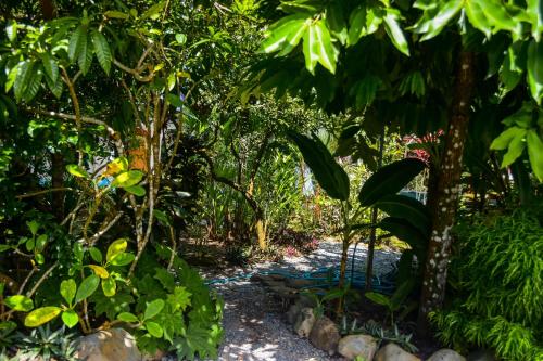a path through a garden with trees and rocks at Cabinas carol in Pavones