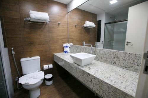 a bathroom with a sink and a toilet and a mirror at Hotel Canarius de Gravatá in Gravatá