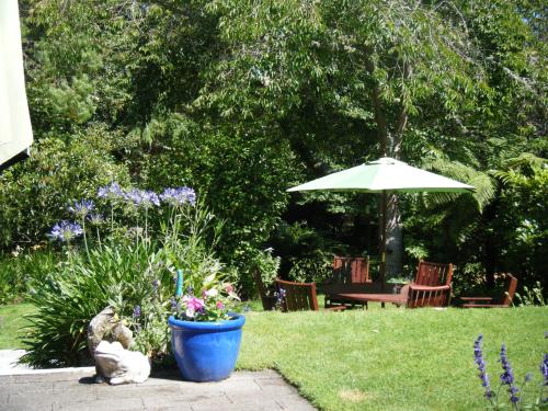 a cat sitting next to a flower pot and an umbrella at TWYNHAM at Kinloch in Kinloch