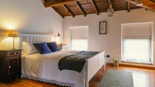 Marano di Valpolicella的住宿－Relais Valpolicella B&B，一间卧室设有一张大床和两个窗户。
